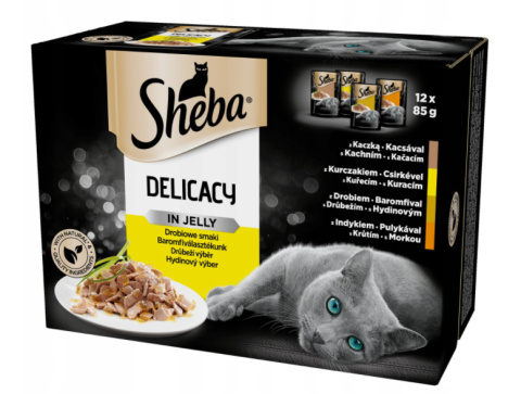 SHEBA 12x85g Delicacy in Jelly Smaki Drobiowe SHEBA 12x85g Delicacy in Jelly Smaki Drobiowe