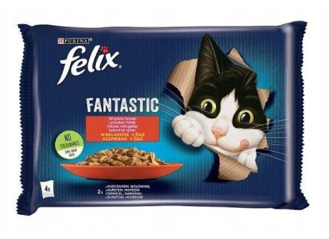 Felix Fantastic MP Wołowina Kurczak 4 x 85g Felix Fantastic MP Wołowina Kurczak 4 x 85g