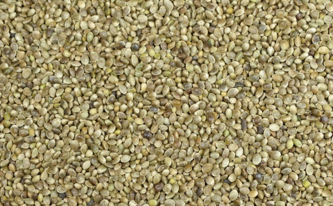 KONOPIE ZIARNO DLA GOŁĘBI, PTAKÓW 4 KG KONOPIE ZIARNO DLA GOŁĘBI, PTAKÓW 4 KG